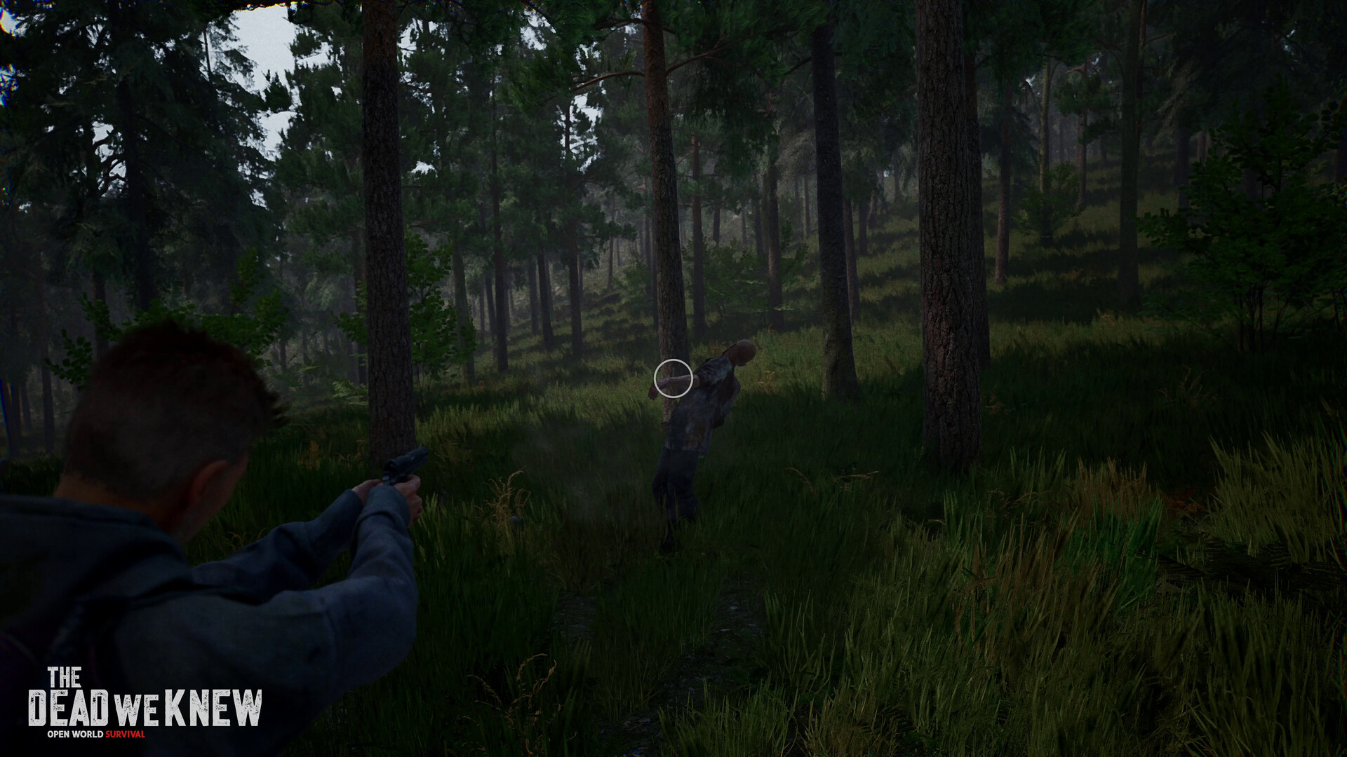 Boreal wilderness under volumetric mist, the survival area of The Dead We Knew